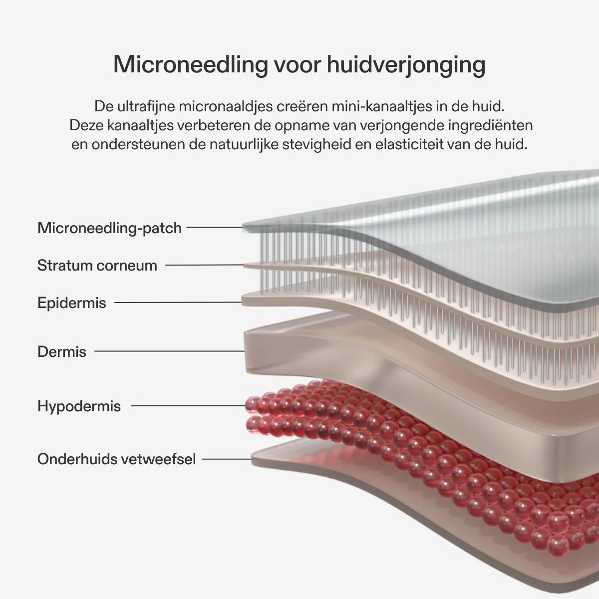 CurrentBody Skin Microneedling Patch voor het voorhoofd - Image 4
